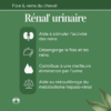 Avantages RENAL URINAIRE Naturacheval Avantages RENAL URINAIRE Naturacheval