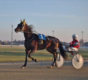 Prix Naturacheval - Hippodrome des Andelys 1 IMG 20210701 160456