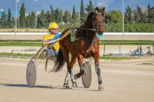 Prix Naturacheval - Hippodrome de Graignes 2 horses 3960211 1920