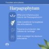 Avantages HARPAGOPHYTUM Naturacheval