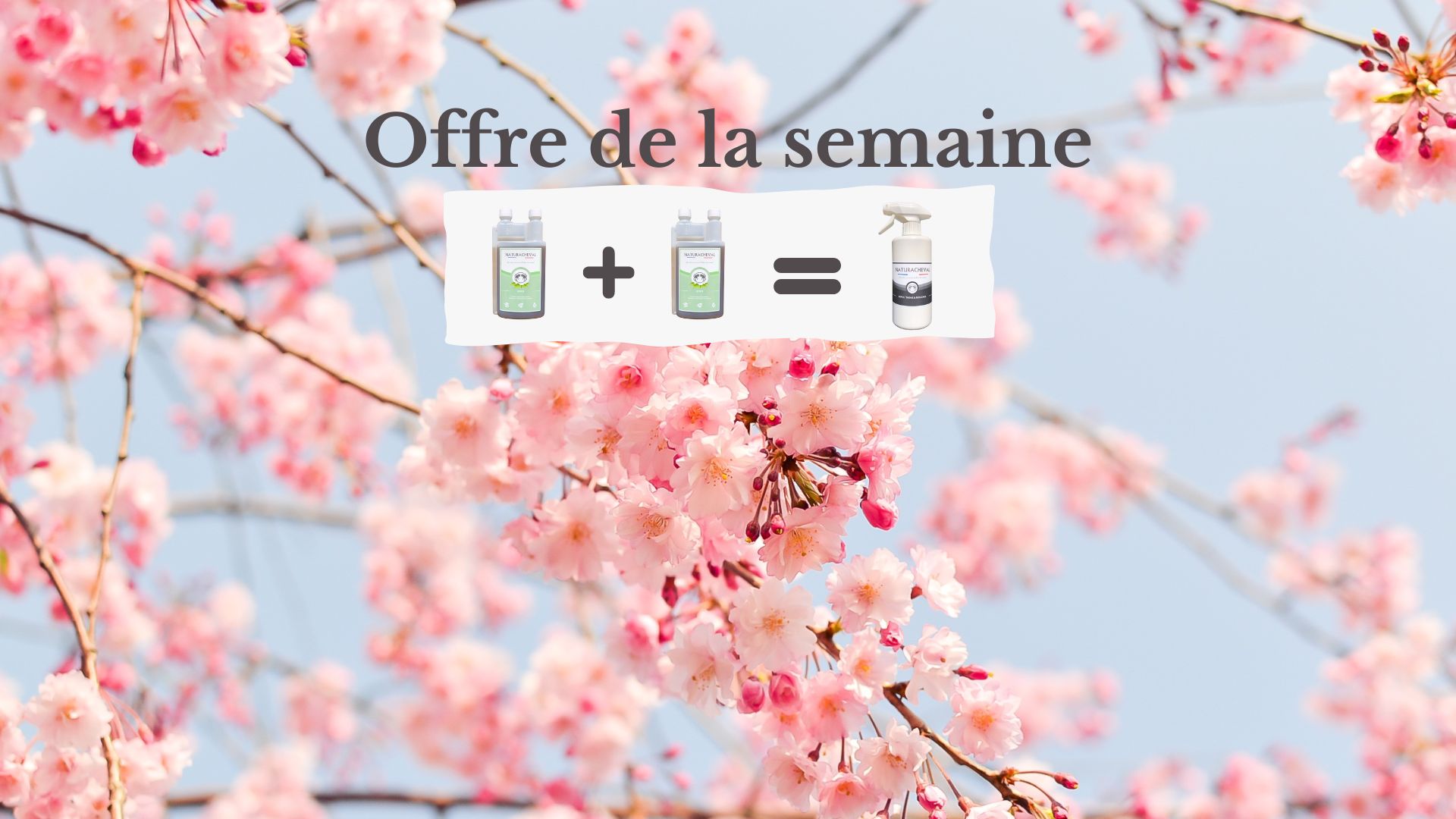 Offre semaine SPRING Naturacheval 2