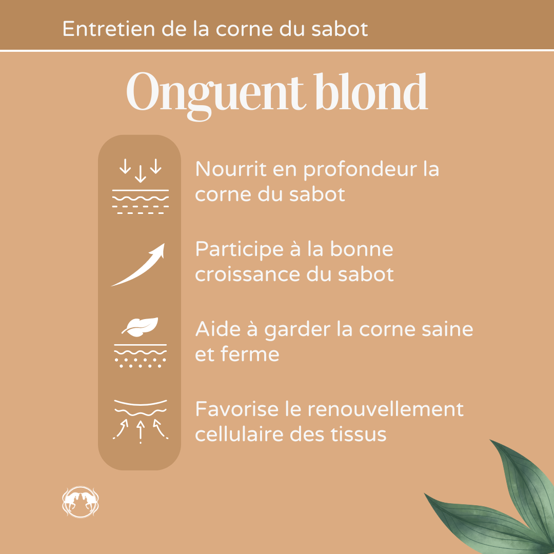 Benefits Naturacheval blond ointment