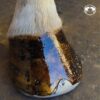 Huile de cade pour sabot NATURACHEVAL