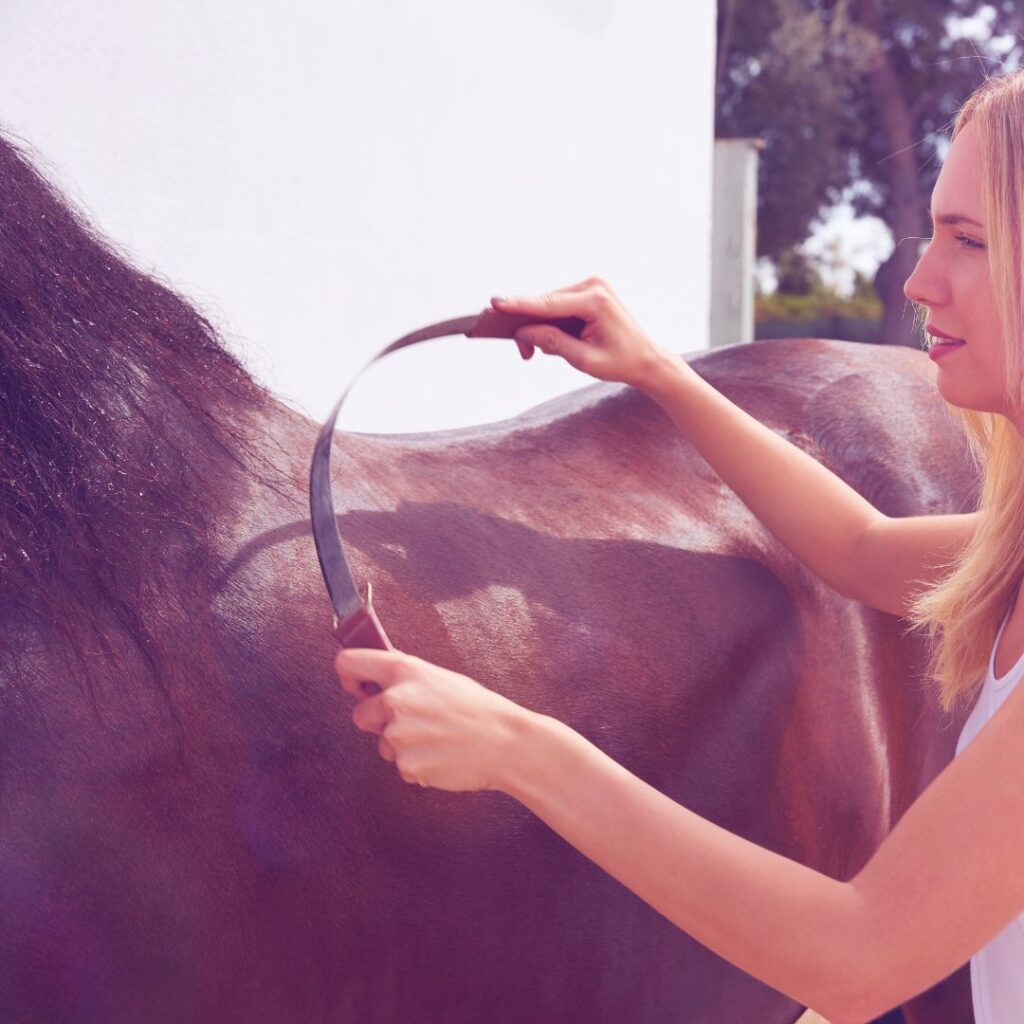 Chaleur estivale : Comment protéger son cheval ? 4 NATURACHEVAL douche couteau de chaleur electrolyte